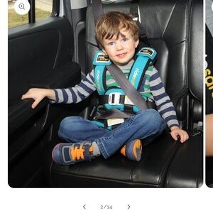 TWO Ride Safe Travel Vests for kids 30-60lbs used twice